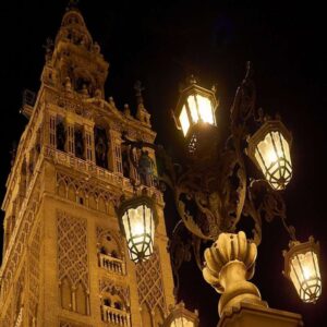 Módulo LED para farolas de 50w chip Bridgelux SMD5050 8D - Imagen 7